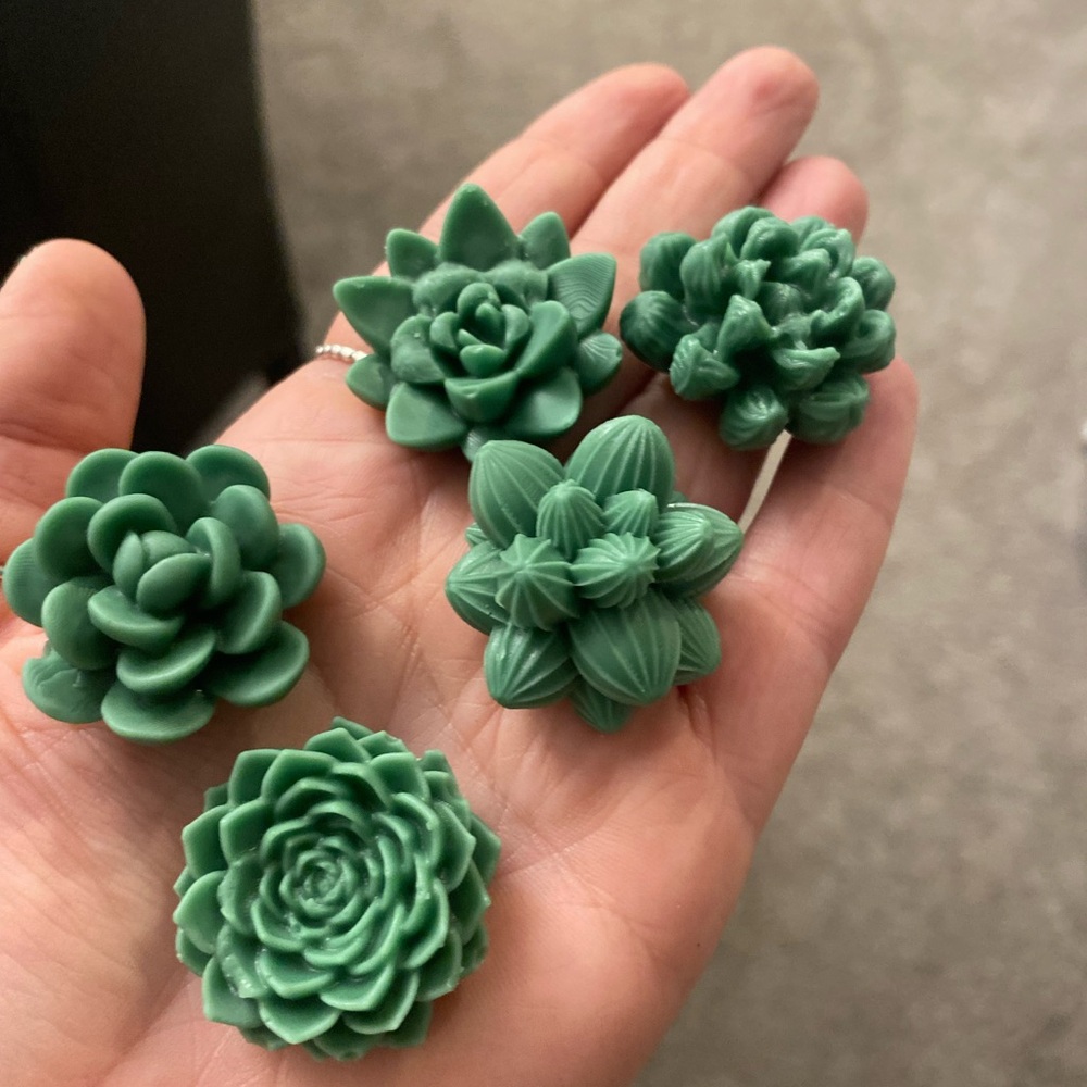 WAX MELTS - eucalyptus succulents